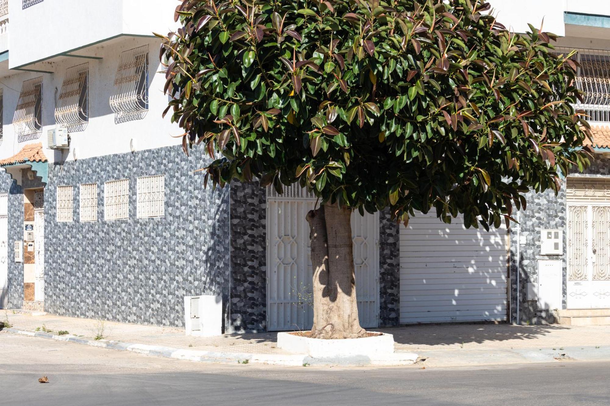 Appartements Calmes Et Spacieux Tétouan Exterior photo